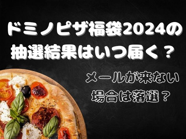 ドミノピザ 福袋 2024 抽選結果