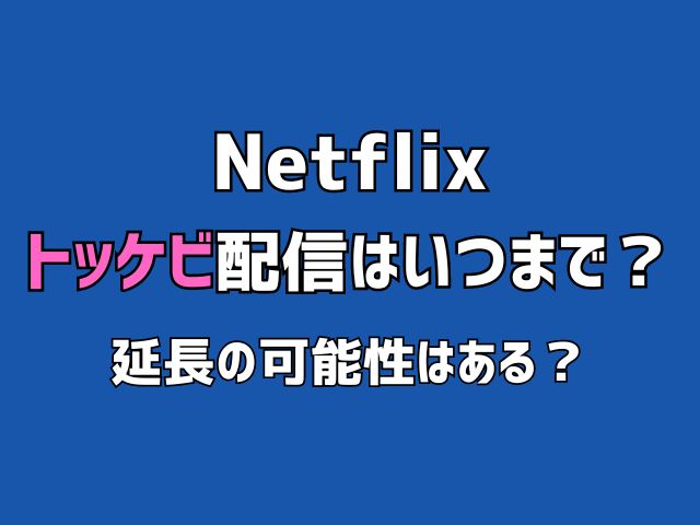 Netflix トッケビ いつまで