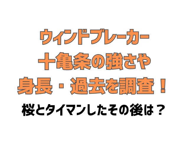 ウィンドブレーカー 十亀 条 プロフィール